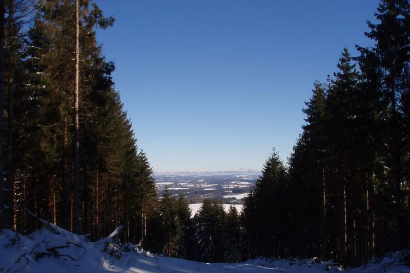 VTT Saint-Setiers - Piste Bleue — Saint-Setiers