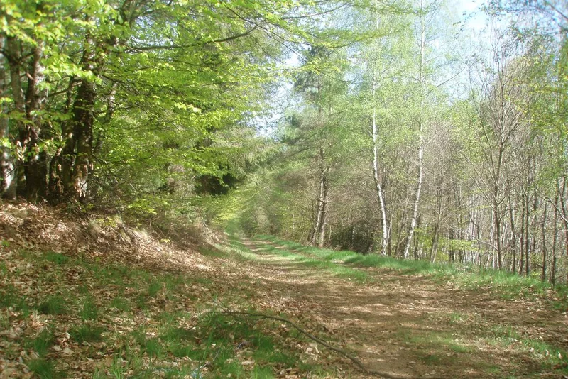 VTT Saint-Setiers - Piste jaune — Saint-Setiers