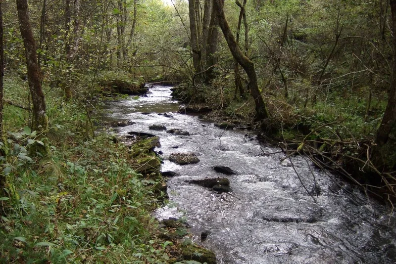 VTT Circuit VTT n°22 : Autour du ruisseau de Saint-Merd · Saint-Merd-de-Lapleau