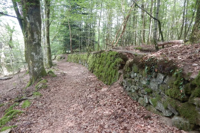 VTT Circuit VTT n°23 : Le tour de Saint-Merd-de-Lapleau — Saint-Merd-de-Lapleau