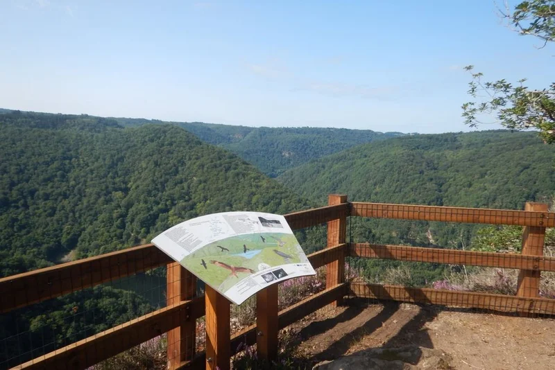 VTT Circuit VTT n°25 : Les ruisseaux des Gorges de la Dordogne — Laval-sur-Luzège