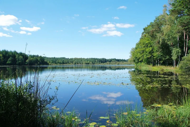 VTT Circuit VTT n°27 : Au bord des Etangs — Montaignac-sur-Doustre