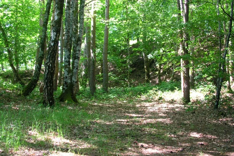 VTT Circuit VTT n°29 : Les trésors de Lapleau · Lapleau