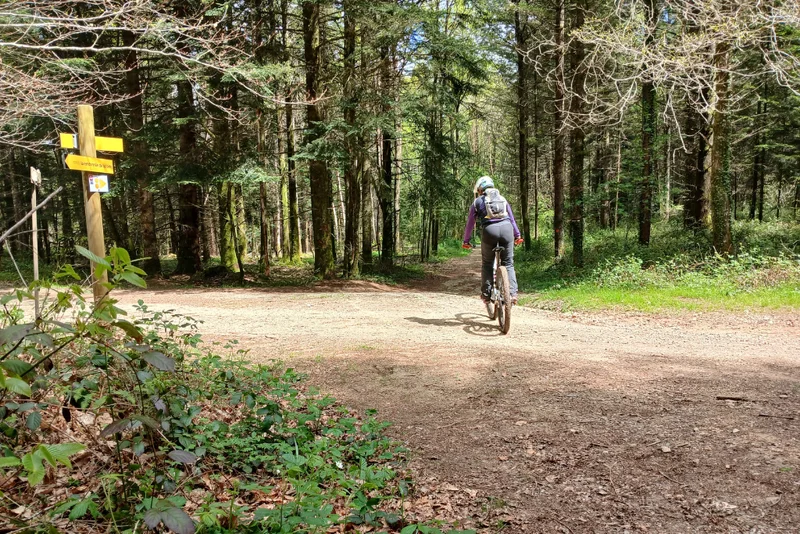 VTT Circuit VTT n°8 : Autour de la Grènerie — Lamongerie