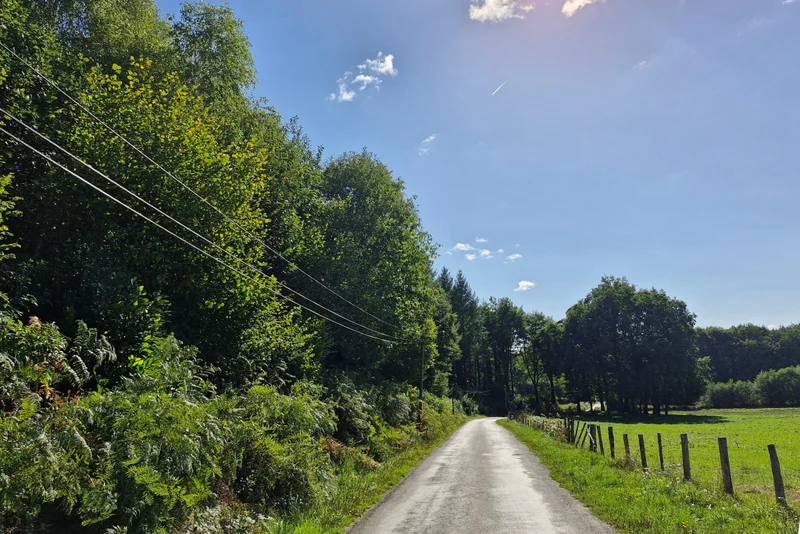 VTT Circuit VTT n°9 : Forêt de Meilhards — Lamongerie
