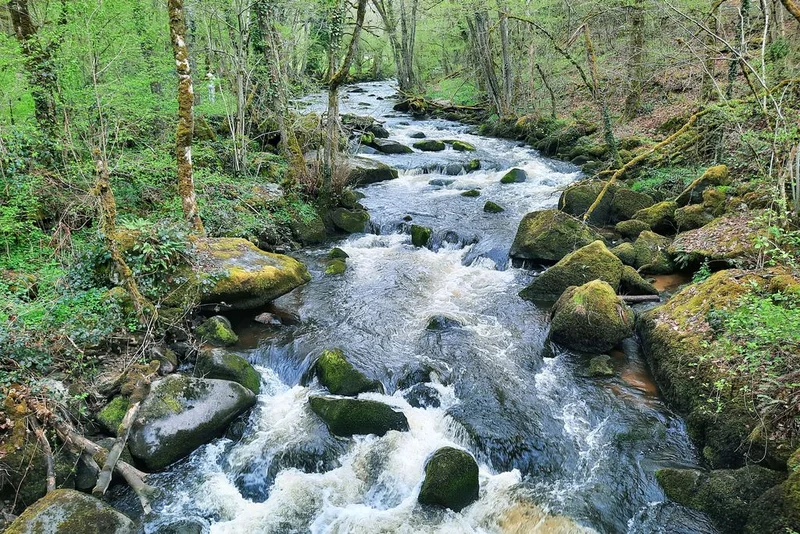 Vélo de route Au fil de l'eau — Felletin