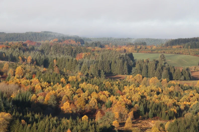 Vélo de route Au coeur de Millevaches — Millevaches