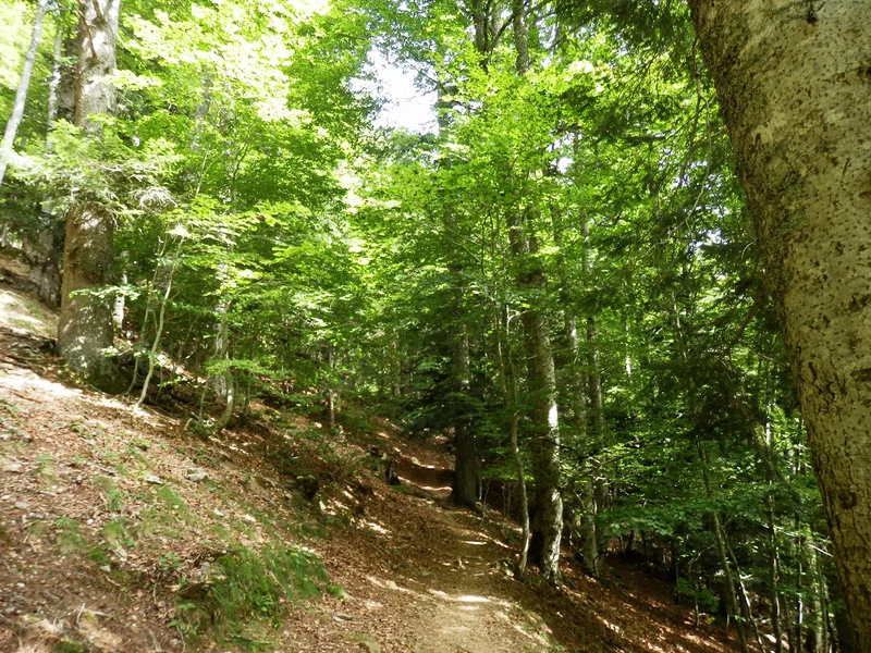 Randonnée La cabane de Chérue — Laruns