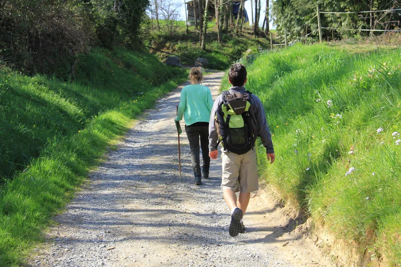 Randonnée Sentier d'interprétation "Histoire de Monein" — Monein