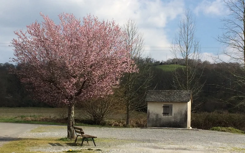 Randonnée Tour de Langladure — Arros-de-Nay
