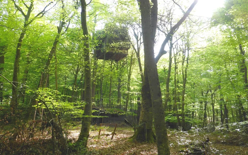 Randonnée Bois de Coarraze — Coarraze