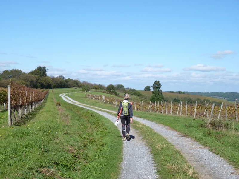 Randonnée Conchez-de-Béarn : entre architecture et vignoble — Conchez-de-Béarn