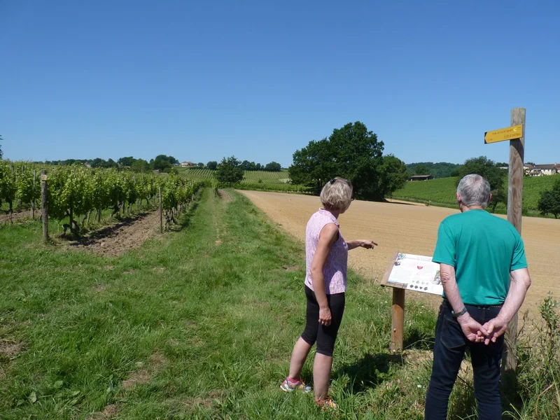 Randonnée Aydie, promenade Joseph Peyré, au cœur du vignoble — Aydie