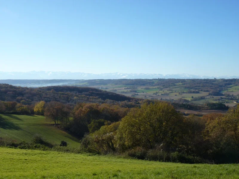 Randonnée Lespielle : entre moulin et orchidées — Lespielle