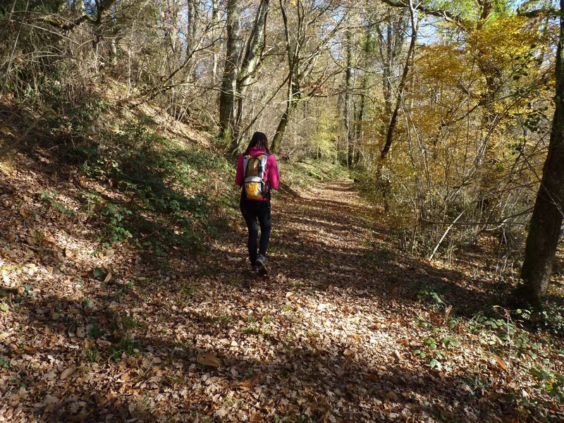 Randonnée Le sentier de Portet — Portet