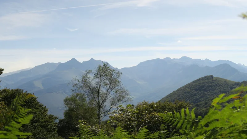 Randonnée N°41 Chemin de Pirait — Athas
