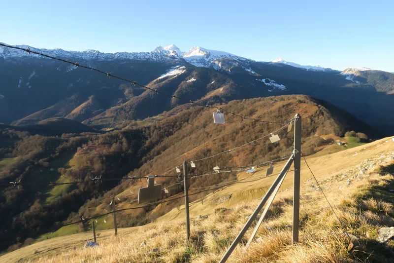 Randonnée N°38 Cabanes et crêtes du Layens — Osse-en-Aspe