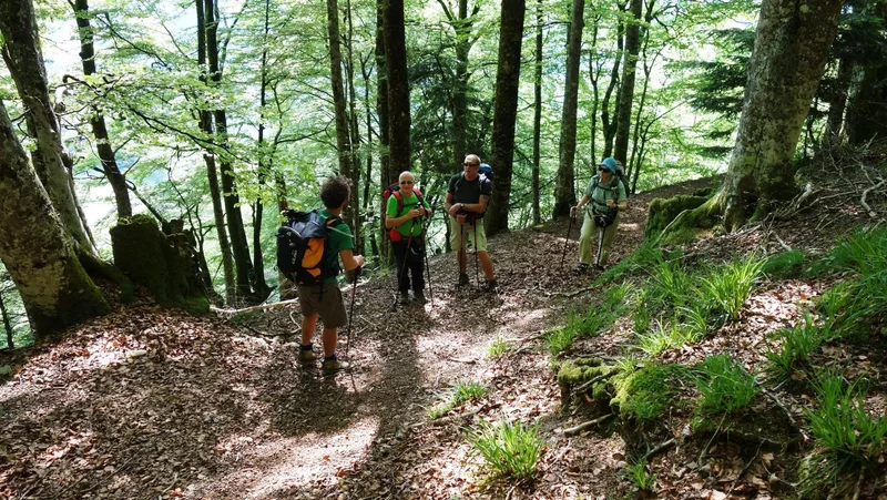 Randonnée N°48 Cabane de Boué — Lescun
