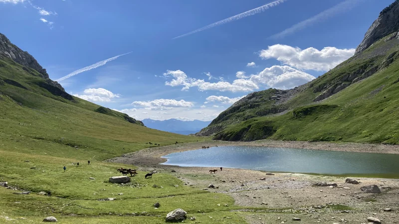 Randonnée N°51 Cabane et Lac de Lhurs — Lescun