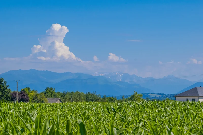 Randonnée Poey-de-Lescar - La Vallée de l'Ousse — Poey-de-Lescar