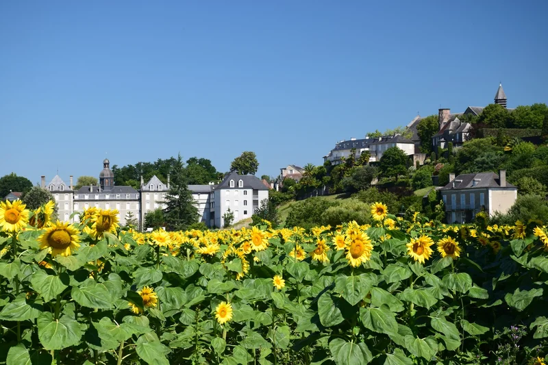 Randonnée Lescar - Cité et nature — Lescar