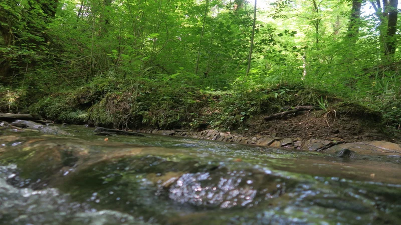 Randonnée N°88 Camp de César — Oloron-Sainte-Marie