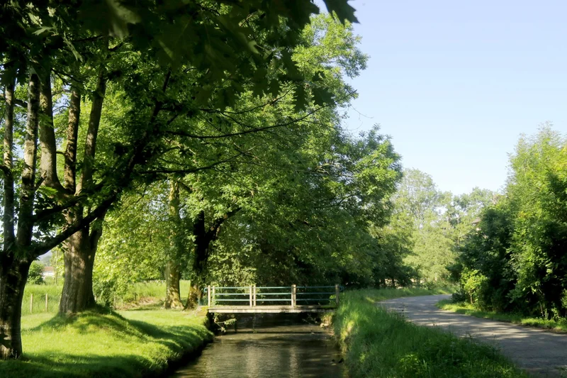 Randonnée N°85 Bois de Goès-Précilhon — Goès