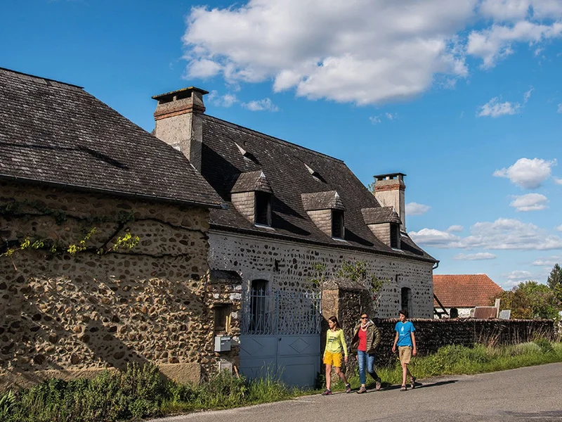 Randonnée Ouillon : Entre lande et forêt — Ouillon
