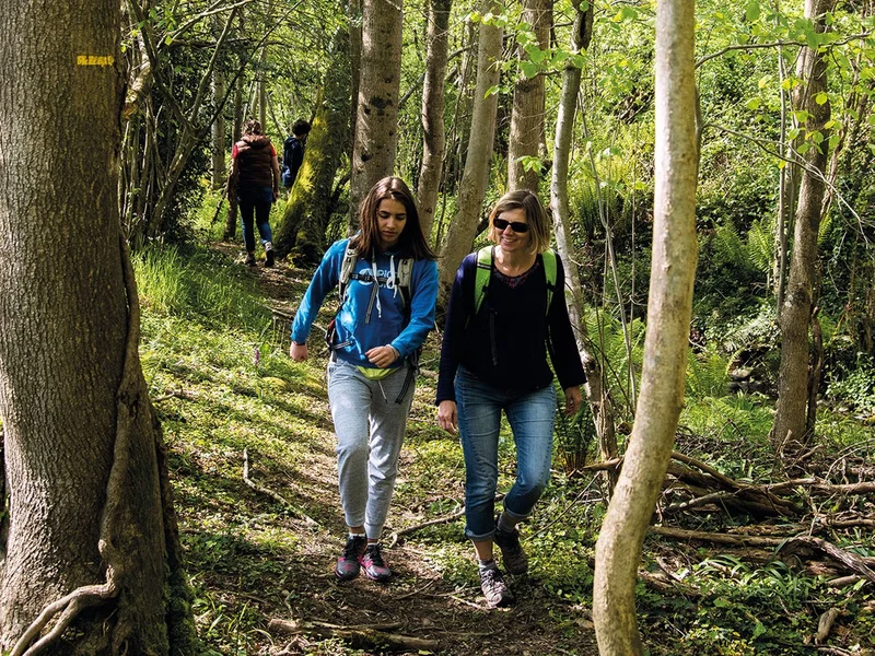 Randonnée Ouillon : chemin des bergers — Ouillon