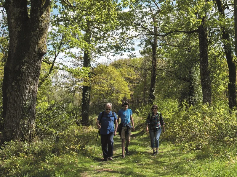 Randonnée Serres-Morlaàs : forêt de Lahitau — Serres-Morlaàs