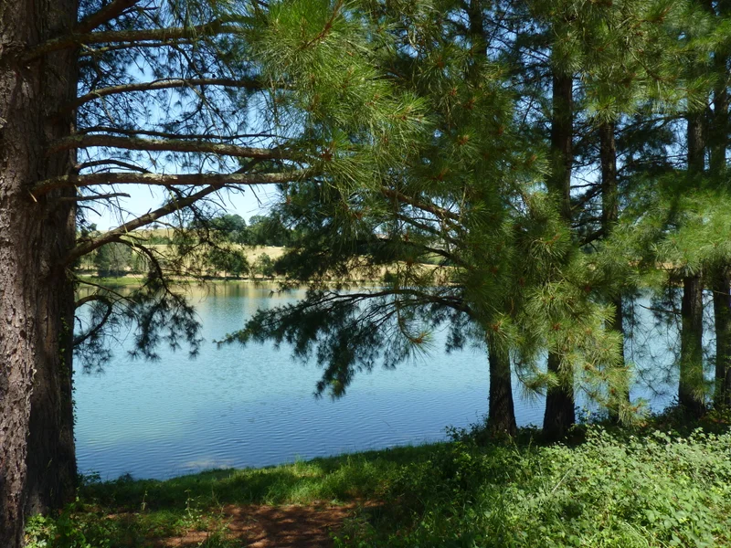 Randonnée SERRES-CASTET : tour du lac — Serres-Castet