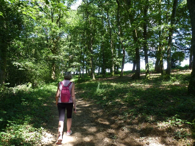 Randonnée Le bois de Sauvagnon — Sauvagnon