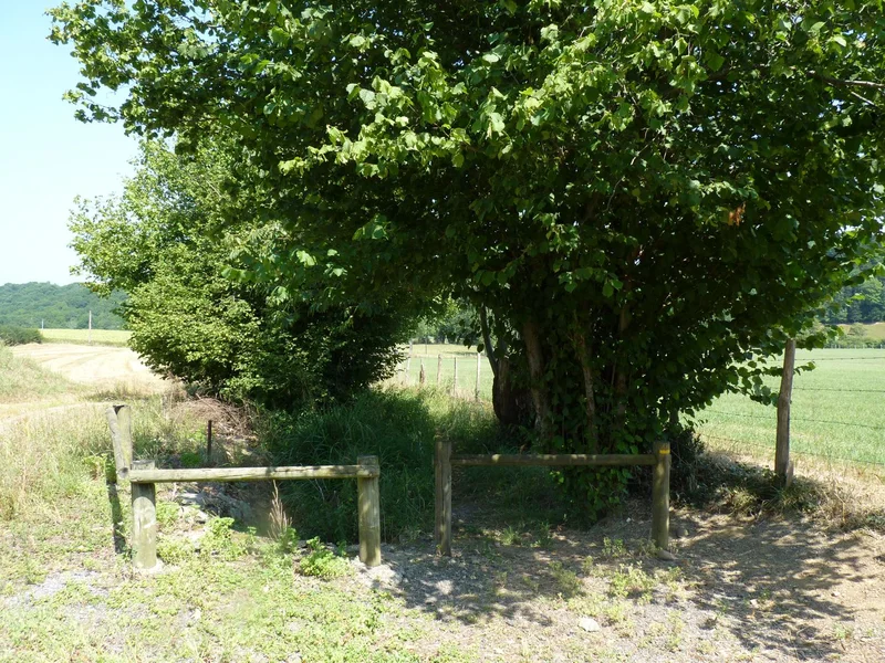 Randonnée Navailles-Angos : dans le vallon de Navailles — Navailles-Angos