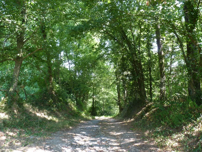 Randonnée Astis : les Barthouils — Astis
