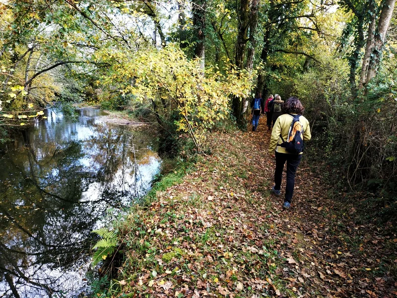 Randonnée Montagut : le Luy de France · Montagut