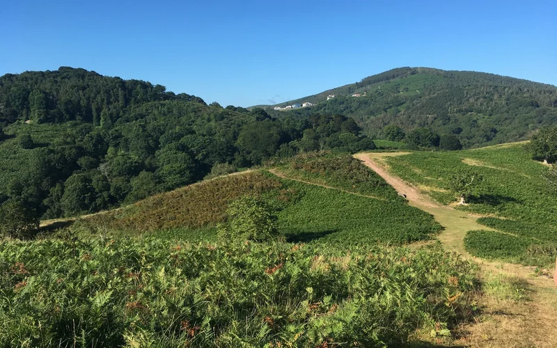 Randonnée Sentier des mulets / Mandobidexka — Ustaritz