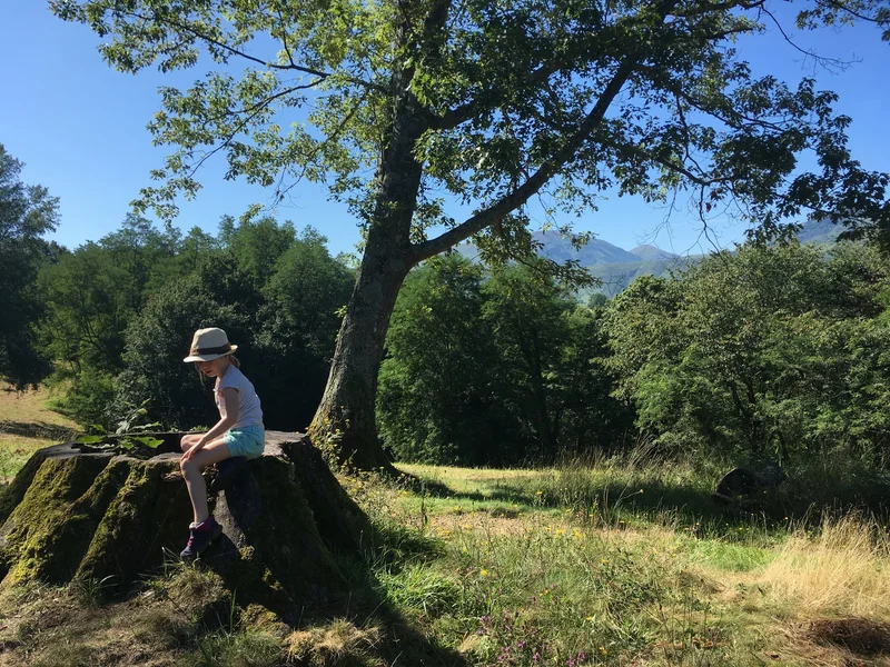 Randonnée Colline de la Bergerie — Ustaritz