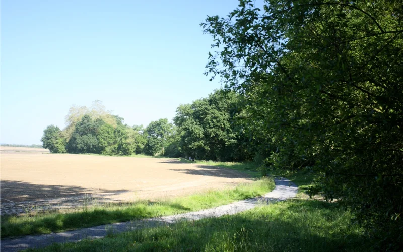 Randonnée De Sauvagnon à la forêt de Bastard — Sauvagnon