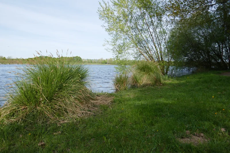 Randonnée Momas : Du Luy à l'Ayguelongue — Momas