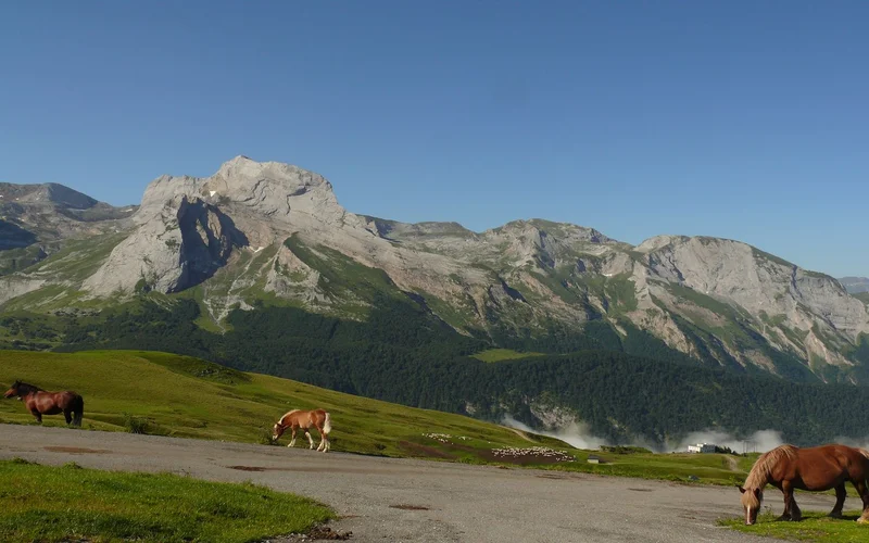 VTT La descente Col d'Aubisque/Louvie-Soubiron — Béost