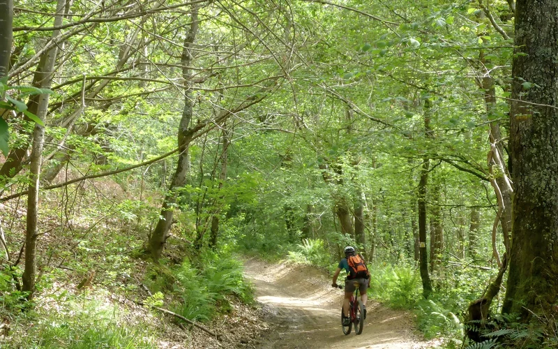 VTT VTT 4 Ousse et Lagoin — Lagos