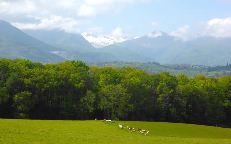 VTT VTT 3 Bastides et châteaux — Igon