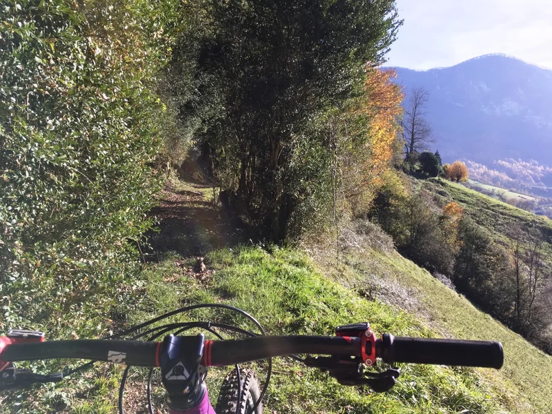 VTT VTT N°6 -  Fougeraies de Laünde — Lourdios-Ichère