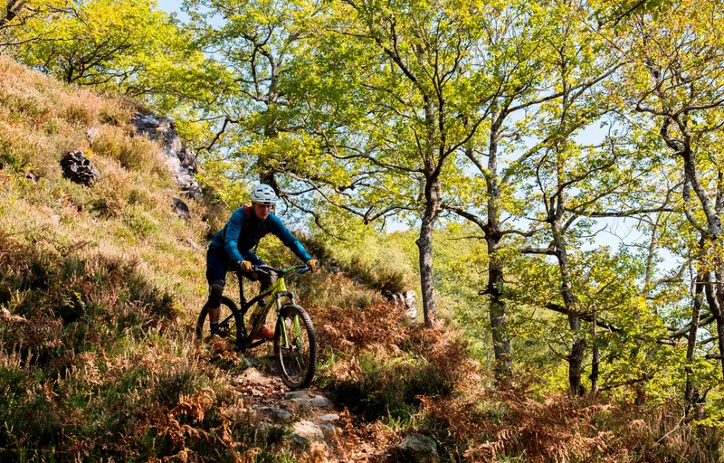 VTT VTT N°31 - Tour Bergout Ichantes Jaupins — Orcun