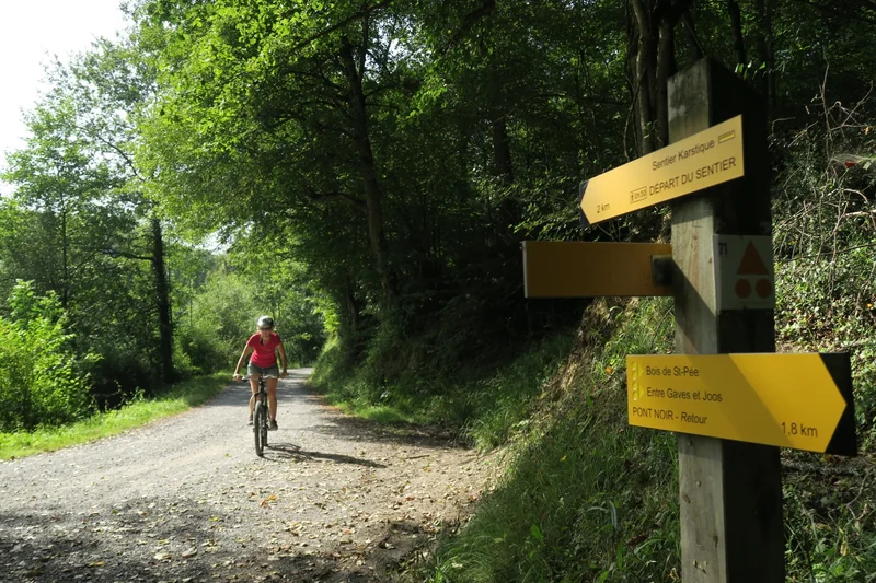 VTT VTT N° 69 Tour de Saint-Pée — Oloron-Sainte-Marie