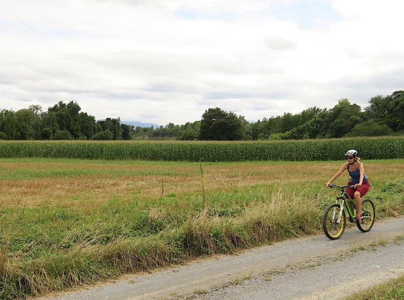 VTT VTT N°70 - La Josbaquaise — Saint-Goin