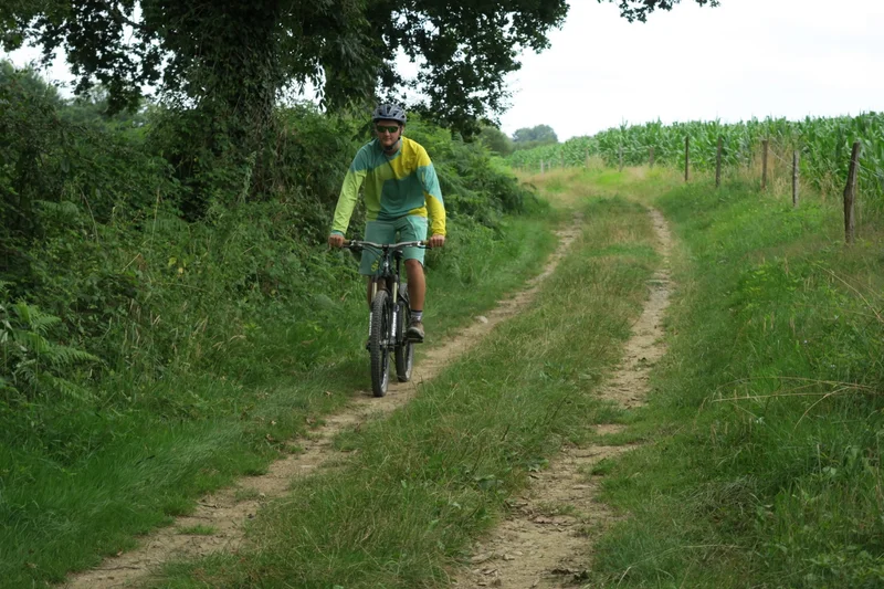 VTT VTT N°75 - Bords du Gave — Oloron-Sainte-Marie