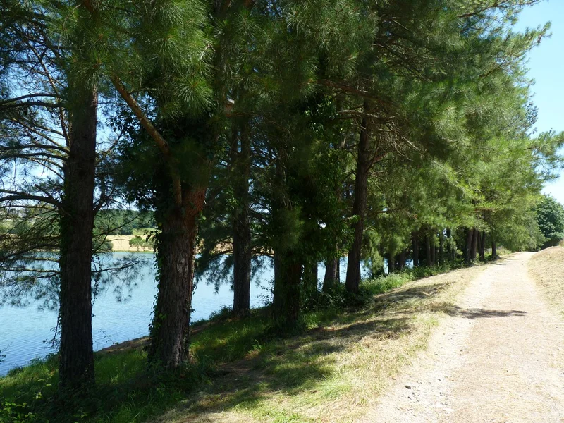 VTT Eslourenties-Daban : la randonnée des lacs à VTT — Eslourenties-Daban