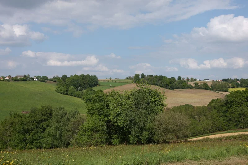 VTT Montardon : le Tour du Luy de Béarn à VTT — Montardon