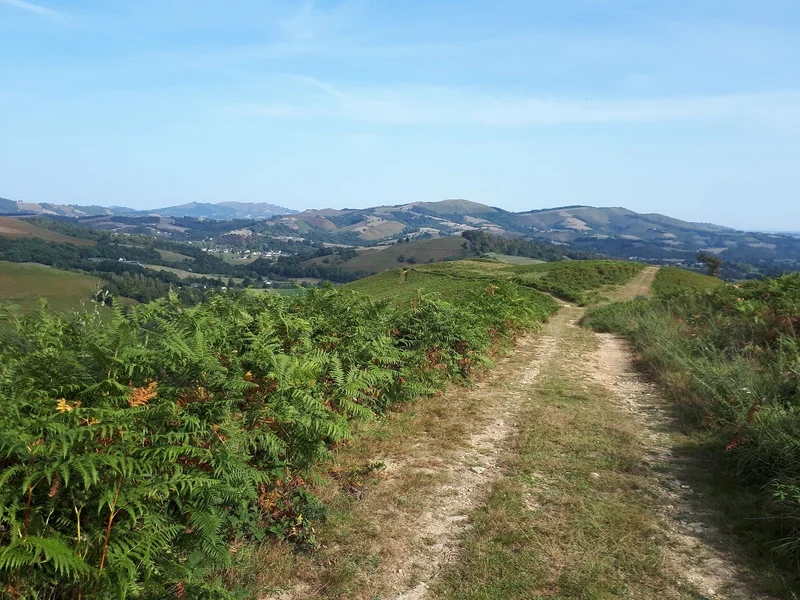 VTT VTT N°16 - Le Tremey — Arette